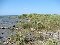 Western Michigan [2010] 819